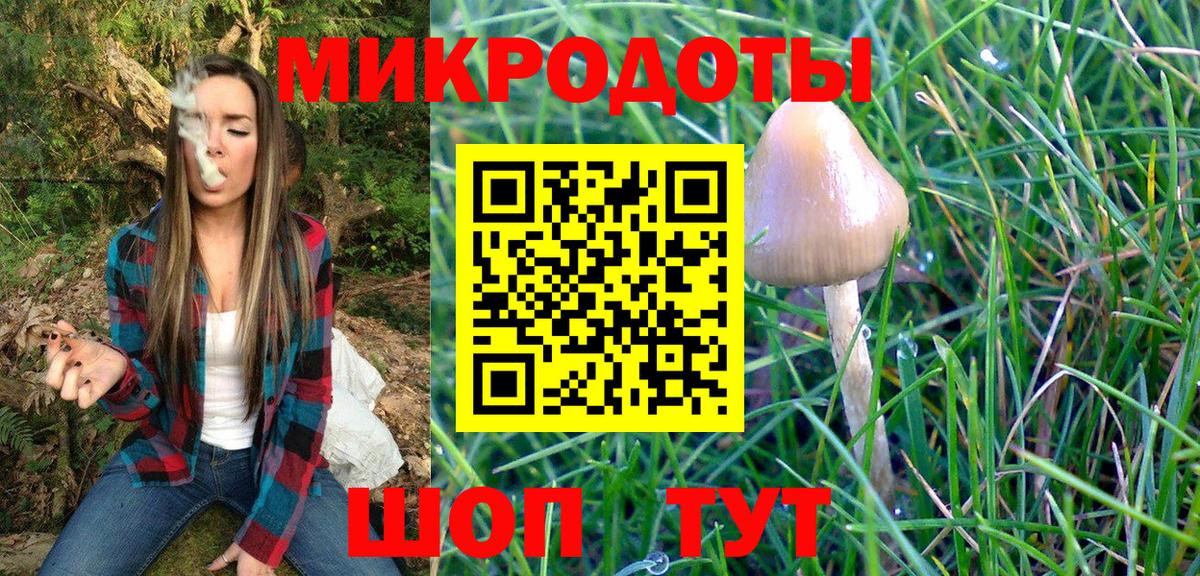 Галлюциногенные грибы Psilocybine cubensis Егорьевск