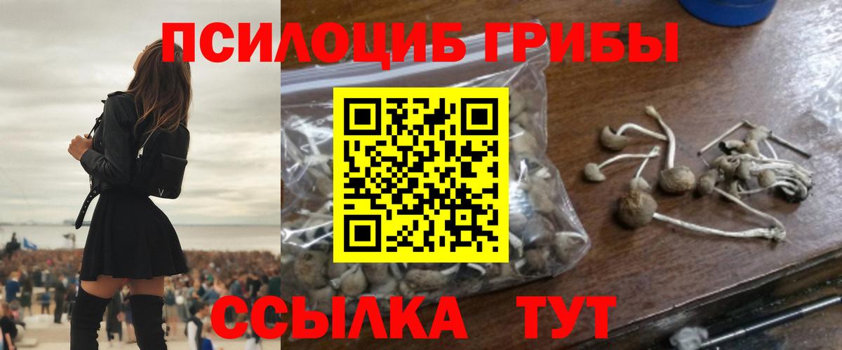 Псилоцибиновые грибы Psilocybe  Вход с VPN  Егорьевск 